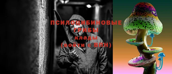 соль ск Алексин