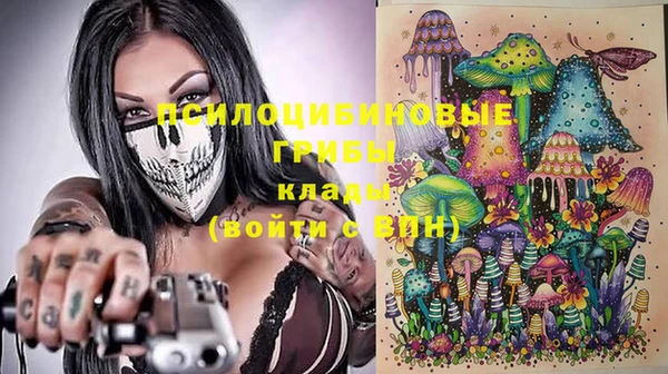 ECSTASY Алексеевка