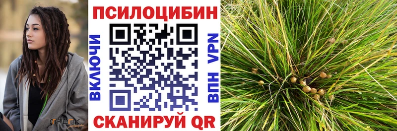 Галлюциногенные грибы GOLDEN TEACHER  ОМГ ОМГ зеркало  Камень-на-Оби 